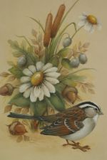 White-Throated Sparrow
